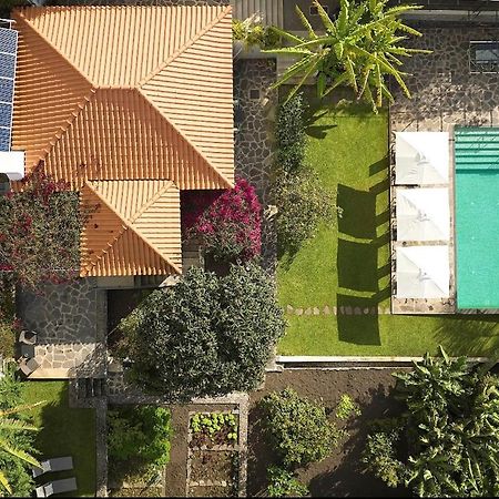 Bordal Houses Funchal  Eksteriør billede